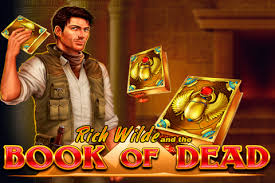 Book of Dead Slot Evaluation - 96% RTP, Free Spins & Perks